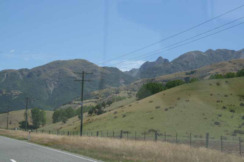 Nieuw-Zeeland 2011 - 1258